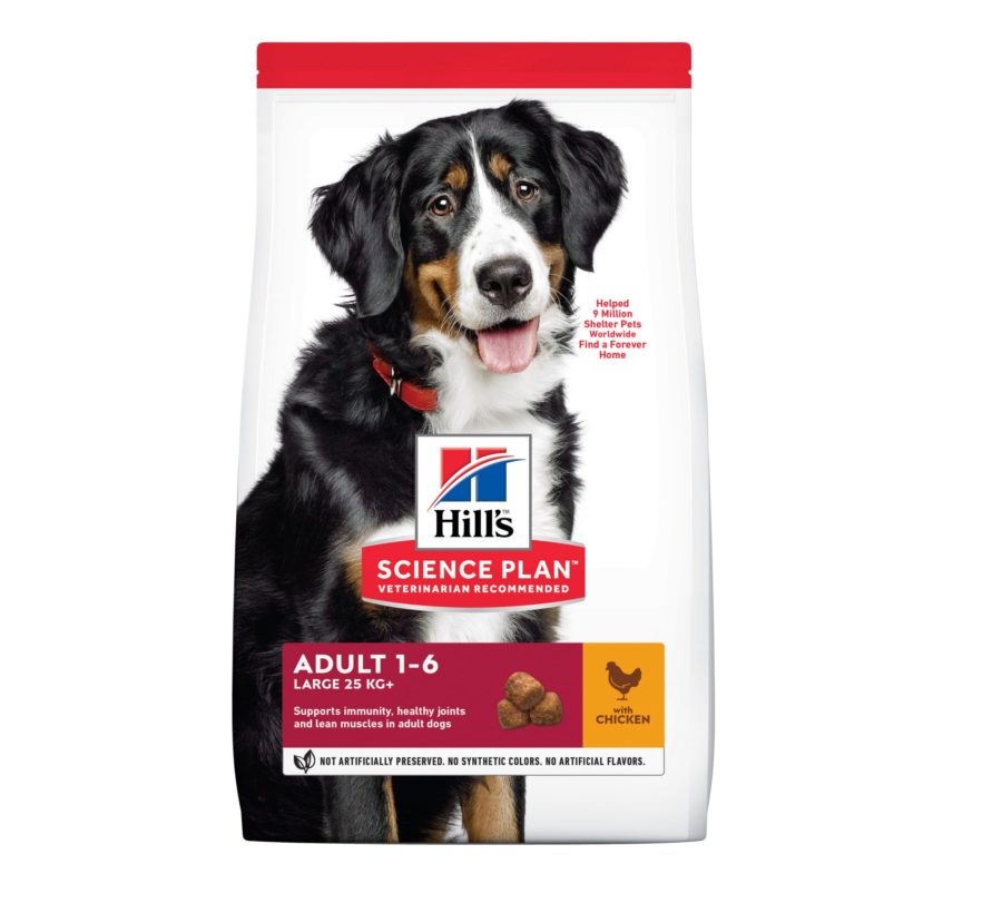 HILL'S Science Plan Adult Dog Large Breed Dry Food With Chicken