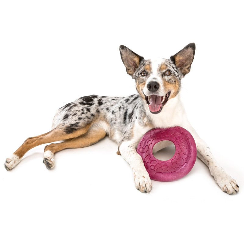 WEST PAW Design Dash Frisbee