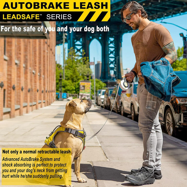 FIDA Autobrake Retractable Dog Leash (16 ft)