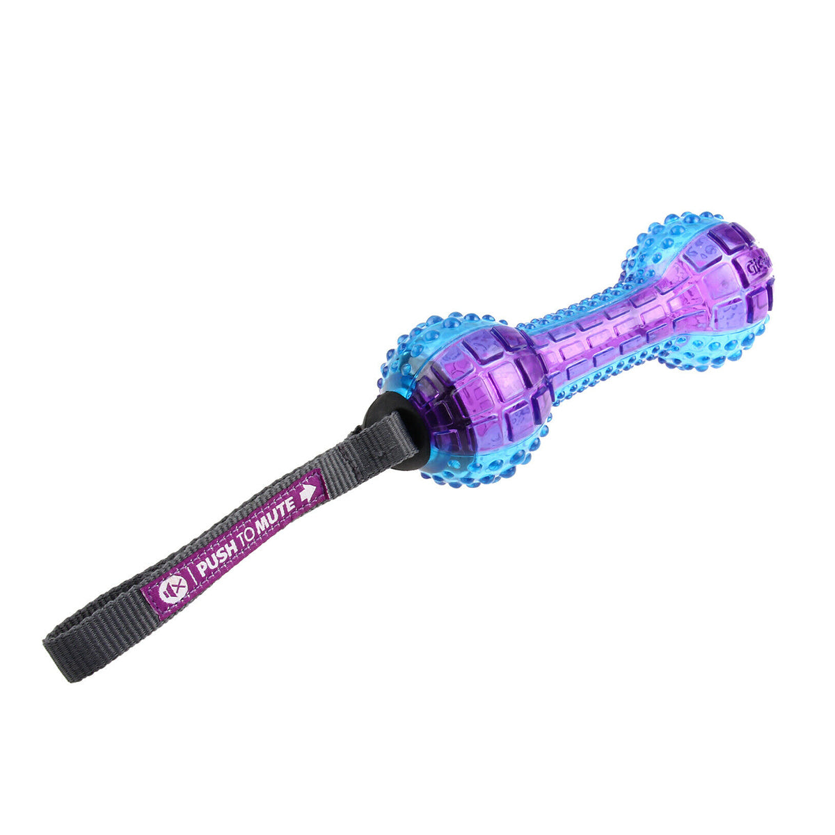GIGWI Dumbell 'Push to Mute' Transparent (Purple/Blue)
