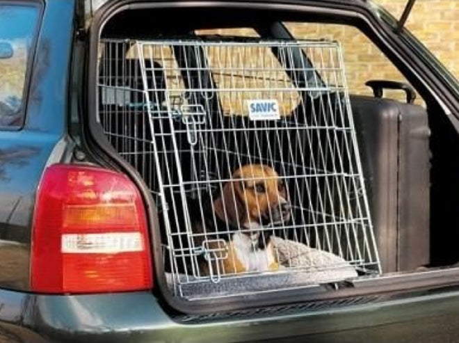 SAVIC Dog Residence Mobile Wide