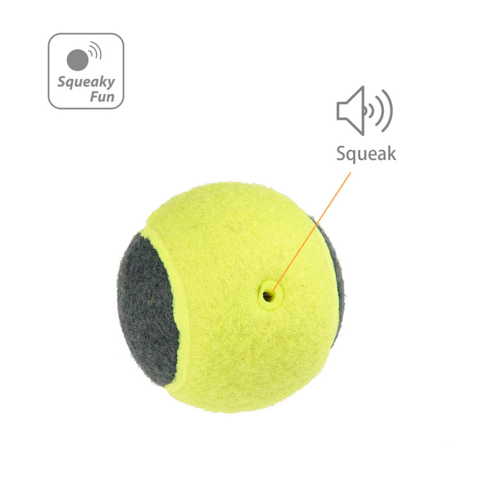 SKIPDAWG Squeaky Tennis Balls (Pack of 4)