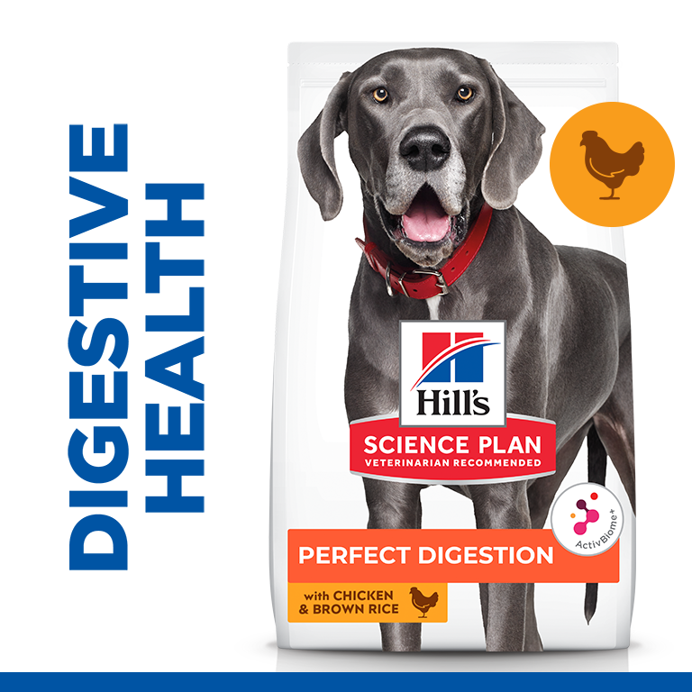 HILL'S Science Plan Perfect Digestion Large Chicken & Brown Rice (14kgs)