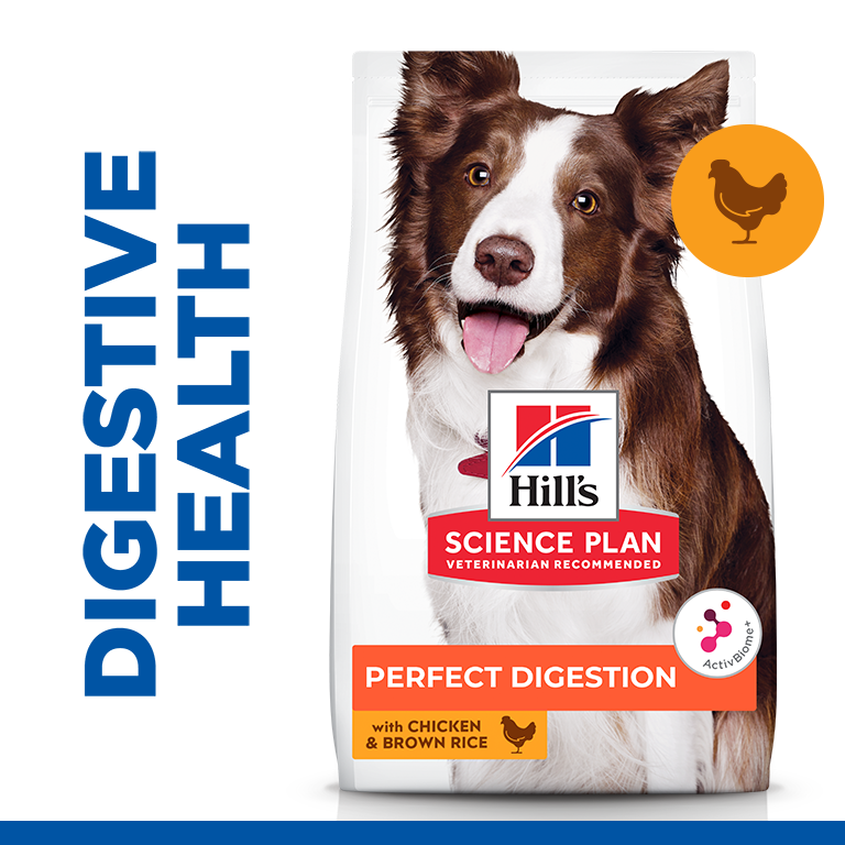 HILL'S Science Plan Perfect Digestion Adult Dog Medium Chicken & Brown Rice