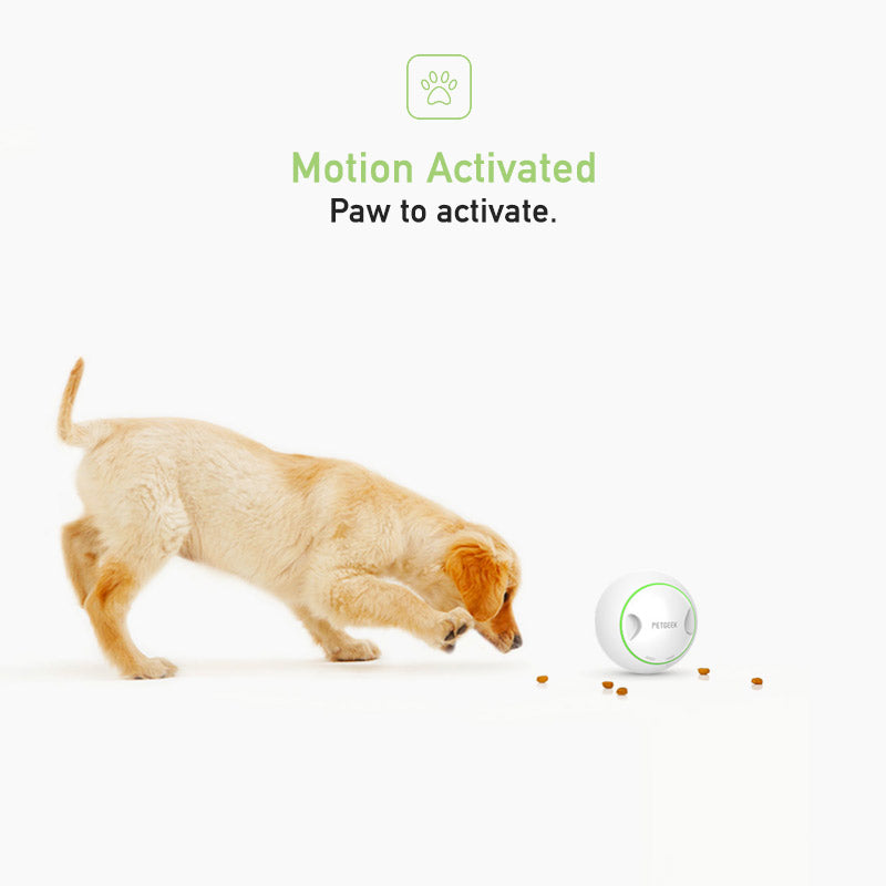 PETGEEK Foodie Orb - Automatic Rolling Treat Ball
