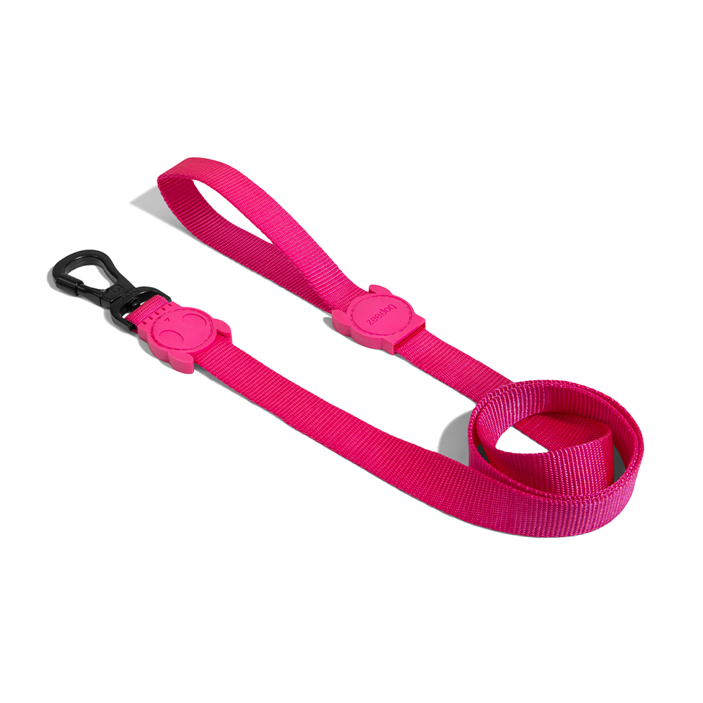 ZEE.DOG Pink Leash