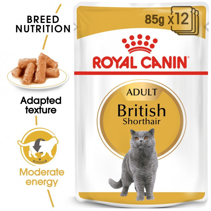 ROYAL CANIN British Shorthair Wet Food (12 Pouches)