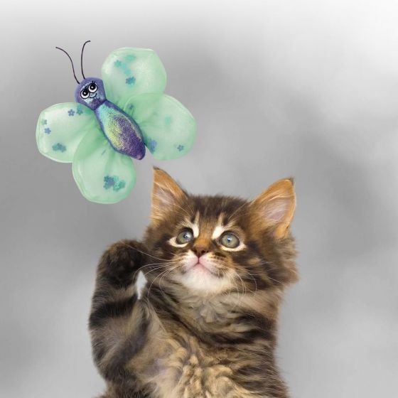 KONG Better Buzz Butterfly Cat Toy