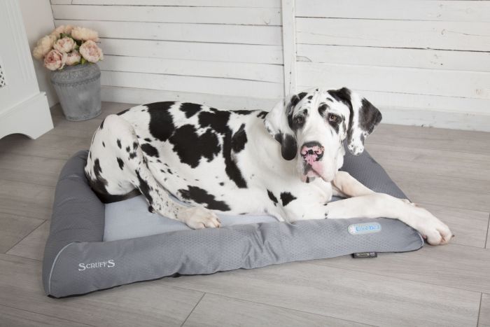 SCRUFFS Cool Dog Bed