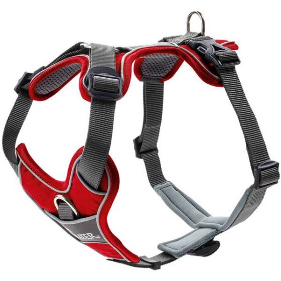 HUNTER Divo Dog Harness