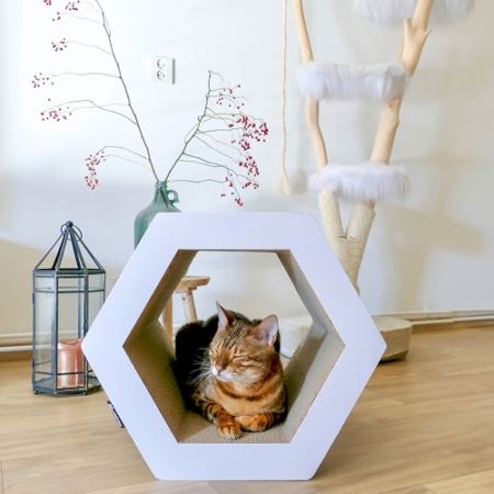 DISTRICT 70 Hexa Cardboard Cat Scratcher (White)