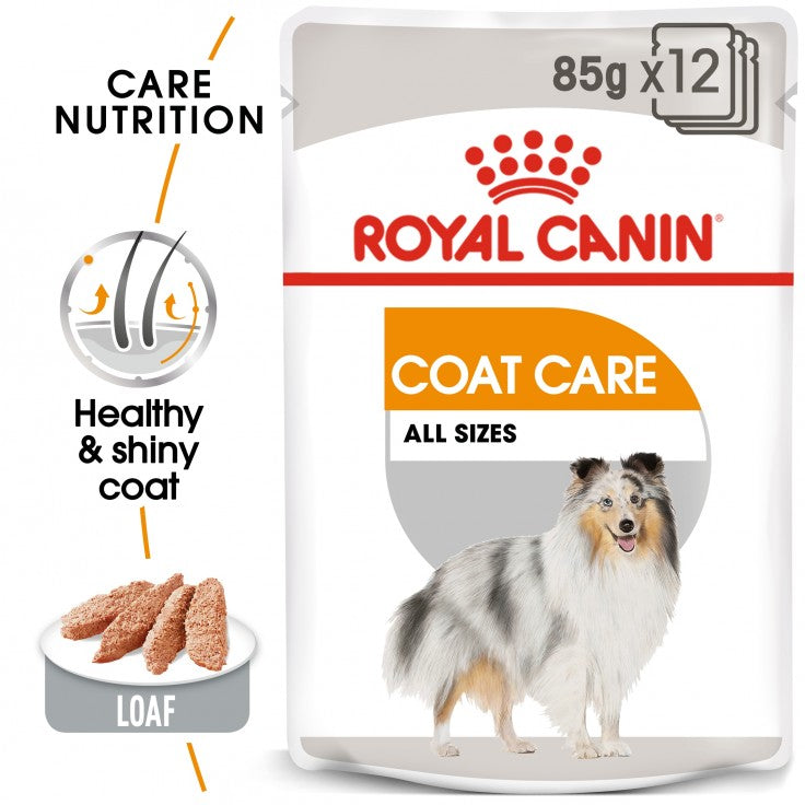 ROYAL CANIN Coat Care All Sizes Wet Food (12 Pouches)