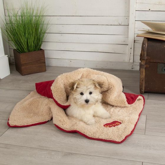 SCRUFFS Snuggle Dog Blanket