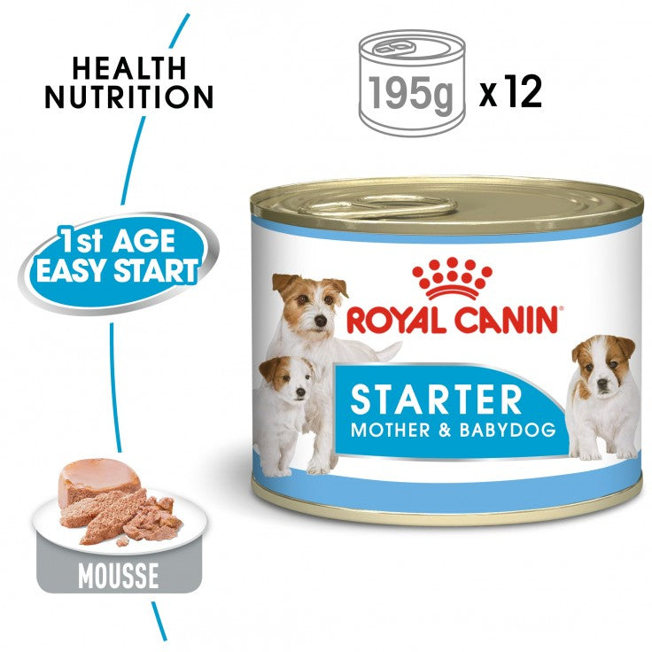 ROYAL CANIN Starter Mother & Babydog Mousse Wet Food (12 Cans)