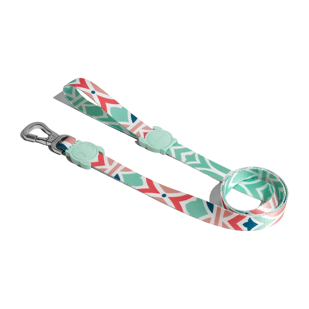 ZEE.DOG Marcuch Leash