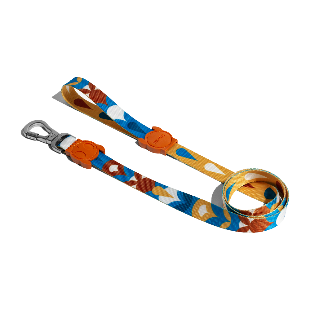 ZEE.DOG Yansun Leash