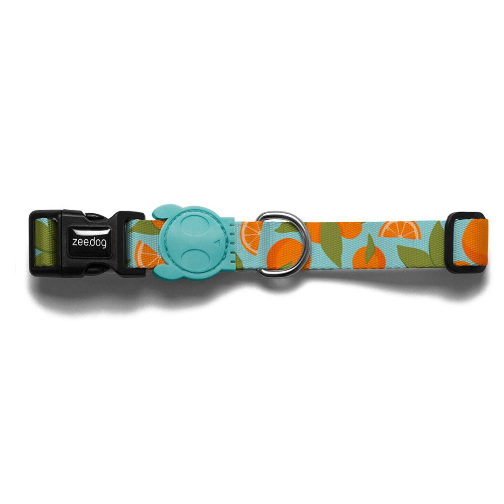 ZEE.DOG Florida Collar (L)